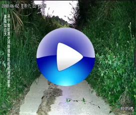 開寧智能黑光全彩高清監控夜視效果-自動變光