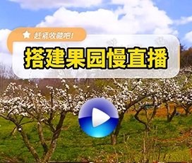 果園無人24小時慢直播解決方案