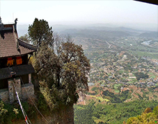 竇圌四時：4K 直播里的歲月流轉(zhuǎn)