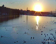 開寧4K全彩高清慢直播球機鏡頭下的四季戀歌